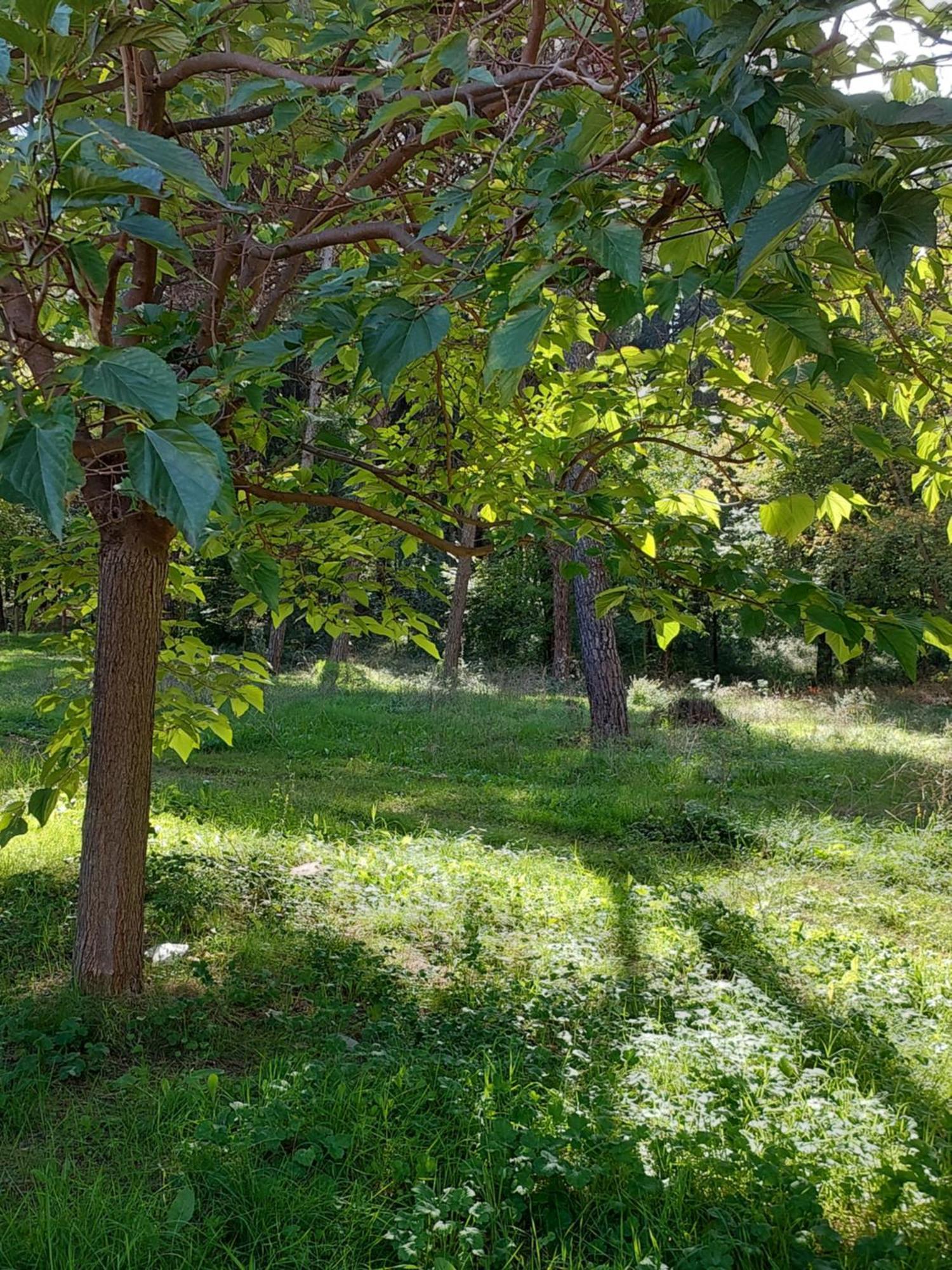 A'Studio Tiran Dış mekan fotoğraf
